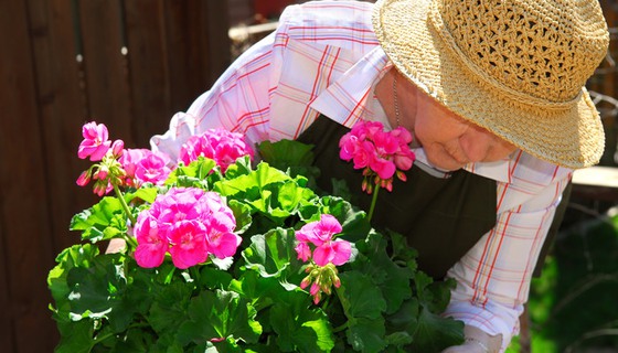 äldre kvinna fixar med trädgården