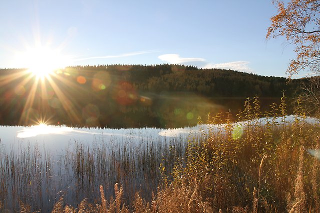 Bild på sjö och sol