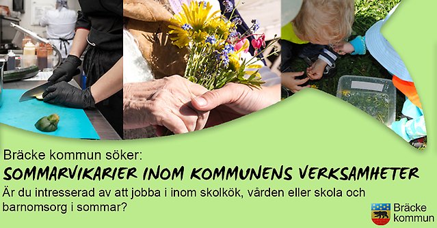 Tre bilder i en pratbubbla med grön bakgrund och texten "Bräcke kommun söker sommarvikarier till kommunens verksamheter. Är du intresserad av att jobba i inom skolkök, vården eller skola och barnomsorg i sommar?"